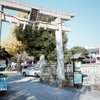 「全国神社お参り旅」今戸神社～東京都台東区