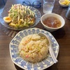 背徳感ゼロの超ヘルシーな真夏のラーメン『サラダラーメン』と半炒飯をがっつりいただこう！！小田急相模原中華食堂楽はやっぱ良いね！！