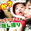 12月24日の動画