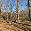 公園でゲーム