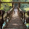 祖谷観光⛰ 小便小僧/祖谷のかずら橋/奥祖谷二重かずら橋/奥祖谷観光周遊モノレール