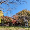 櫻ヶ丘神社とタンク山の観音堂