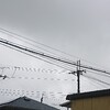 雨☂　お盆の入り