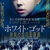 【BBA映画部】ホワイト・ゴッド 少女と犬の狂詩曲～感想：犬の怒り、音楽の存在意義、実写ナウシカ