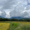 2023/09/06 水曜日　雲間から飛行機雲