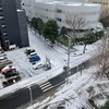 雪だねーきみたち大丈夫かい？