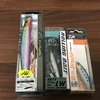 新規加入選手　秋のゴリアテハイと夏のミニエント&ロリベLW