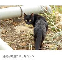 これからの季節