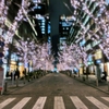 夜の丸の内仲通り