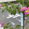 永遠の命を信じる（2）