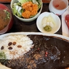 定食春秋（その 388）黒カレー