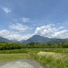 2022/05/12 木曜日　太陽に暈(カサ)夕方から小雨