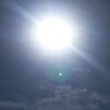 夏は強すぎる！のであります！