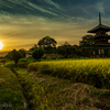 奈良・法起寺夕景