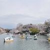 開放感ある公園にでるといろんな出会いがある✨