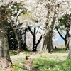 桜咲く道、桜吹雪を散らして
