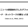 セロトニン-1A受容体を介したデフォルト・モード・ネットワークの差異ある制御（Hahn et al., PNAS, 2012）