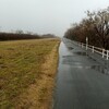 雨降りも、それなり愉し 閑古鳥