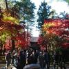 2017年11月25日(土)平林寺の紅葉(新座市)