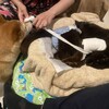みんなで黒猫太郎を支えよう
