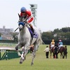 秋競馬がボチボチ…