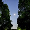 パートナーシップの愛憎　～大嫌いなあの人が、幸せになりますように