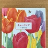 【今年は咲くかなチューリップ】