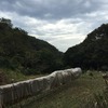 秋の風物詩すすき平原へ：自転車散歩：ポタリング