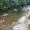 やっぱり岐阜県も暑かった…😅(株杉の森～帰宅編)