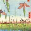 ハナショウブ