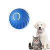 【体験談】JIMIGUGU 電動犬ボールがうちの子のお留守番の救世主に！中小型犬の運動不足とストレスを一掃！