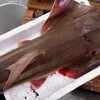 モノノケトンガリサカタザメは長崎の魚屋から送られたものが新種として報告されました