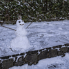 2 年ぶりの積雪⛄️