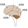 集中力2