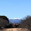 最強に最高で最幸なことは✨そうなるためのコツについて😊