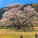 シナリオ売ります