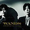 WANDS/世界が終るまでは… [WANDS 第5期 ver.]