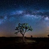 🌙　自らが天空に焼き付けた星の通りに生きる