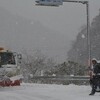 のろやまさんの土佐遊山　花を求め