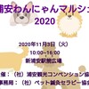 あす 11月3日(祝火)浦安わんにゃんマルシェ  新浦安駅前公園 開催