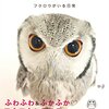 本当に良かった…有刺鉄線に羽が絡まってしまったフクロウさん、無事救助❗️