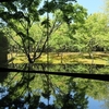 Garrya Nijo Castle Kyoto Rikyu Terrace Suite