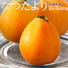 美味しそうなビワが元気を送ってくれますように
