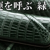 【池田工芸】財布のﾚﾃﾞｨｰｽとﾒﾝｽﾞの違いとは？金運アップが期待できる長財布を紹介♪