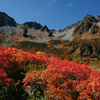 涸沢の紅葉がピークになってしまった模様…