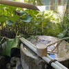 静岡市葵区のケアハウス「ラポーレ駿河」｜館内の「涼のしつらえ」で夏を快適・清々しく過ごす工夫