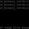 read_file_binary_cstdio