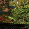 55-300ｍｍで撮った古保利薬師の紅葉　2019.11.09