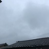 一日中、雨☂️