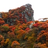 紅葉の大船山東尾根から御池